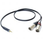 Câble minijack > 2 XLR mâles